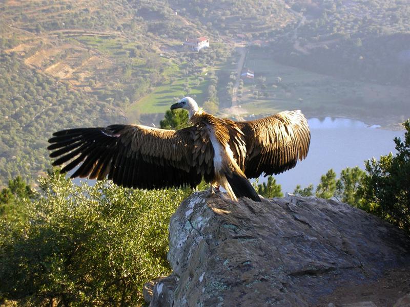 Quinta Das Arribas Abrantes Dış mekan fotoğraf